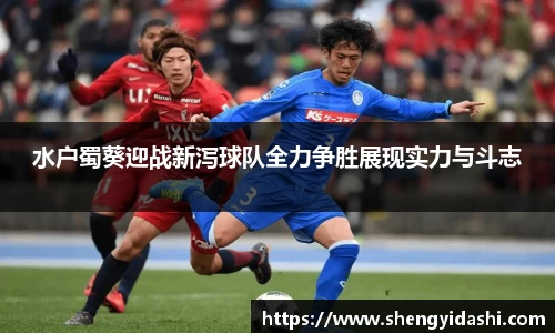 水户蜀葵迎战新泻球队全力争胜展现实力与斗志